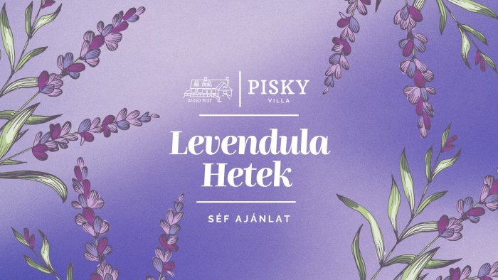 Levendula Hetek a Villa Piskyben