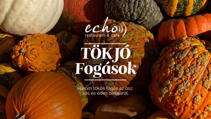 TÖK JÓ Fogások // Echo Étterem